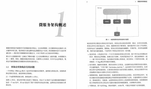 阿里首席架构师深度解读 Spring Cloud与Docker微服务架构实战——从项目策划到公关服务的全链路指南
